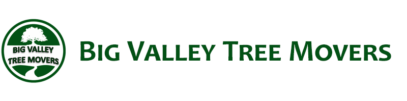 Big Valley Tree Movers